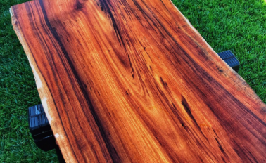 Forest Furniture